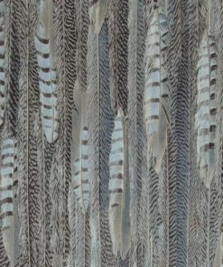 BN Wallpaper & Paint Curious Collection Wallpaper - Feathered Veil Dark Tones