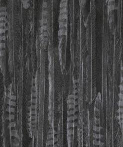 BN Wallpaper & Paint Curious Collection Wallpaper - Feathered Veil Dark Tones