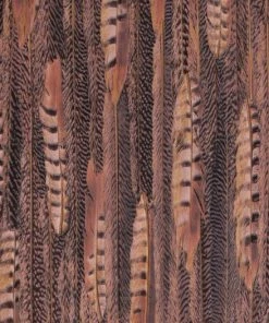 BN Wallpaper & Paint Curious Collection Wallpaper - Feathered Veil Dark Tones