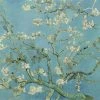 BN Van Gogh Mural Almond Blossom - Sky
