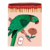 Archivist Gallery Match Boxes - Airane Parrot
