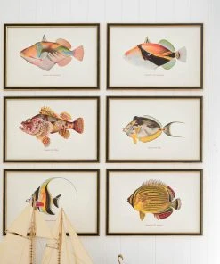 Mind The Gap Havana Tropicana Nohu Fish Wall Art