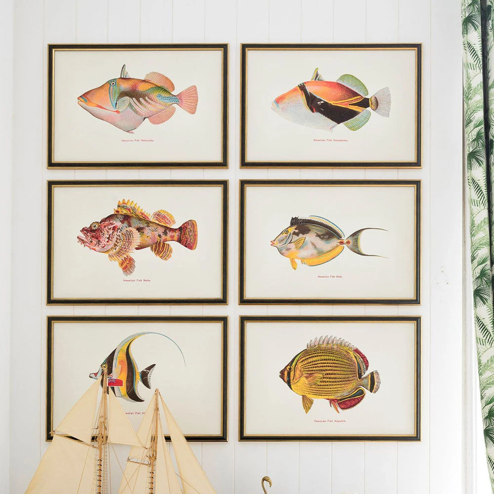 Mind The Gap Humuhumu Fish Wall Art - Havana Tropicana Collection 4 Mind The Gap Humuhumu Fish Wall Art Havana Tropicana