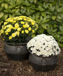 London Ornaments Ollam Pots Set Of Three Blue Skies Ahead