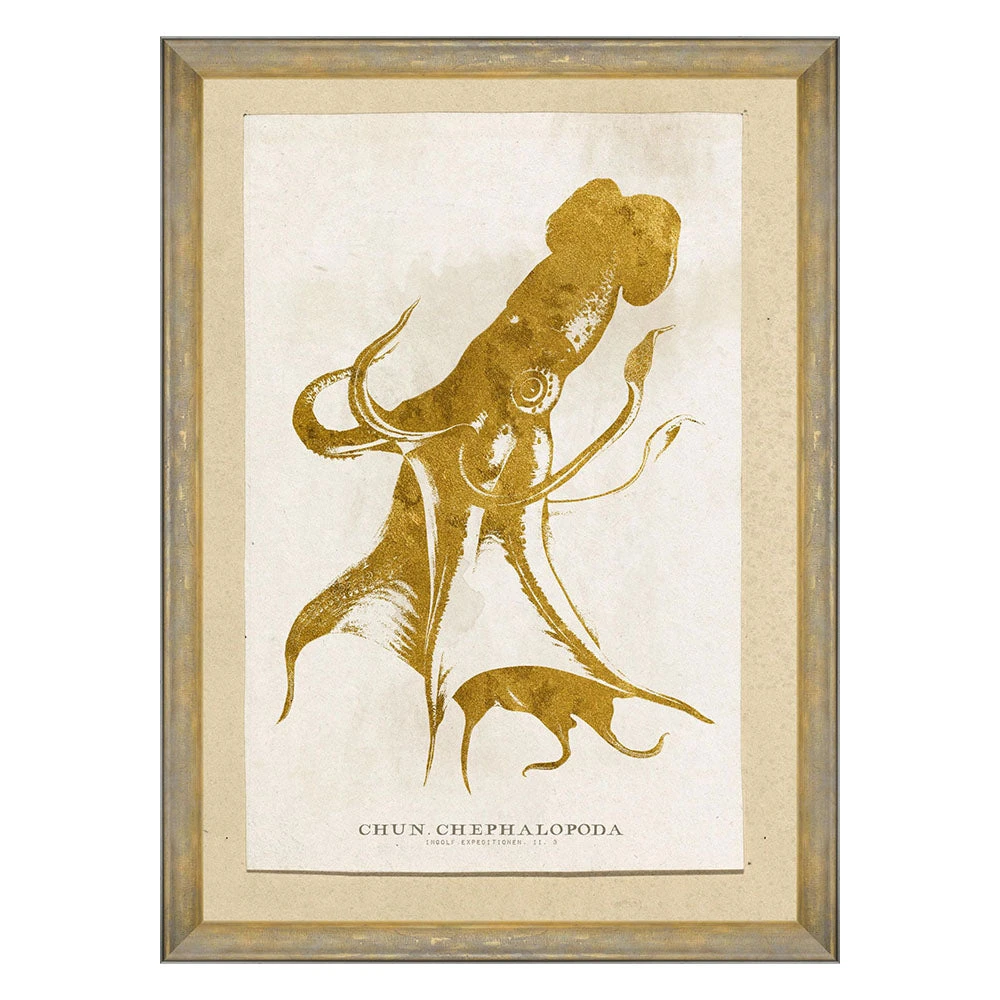 Mind The Gap Sea Life Cephalapoda Wall Art - Unique Ocean-Themed Home Decor 3 Mind The Gap Sea Life Cephalalpoda Wall Art