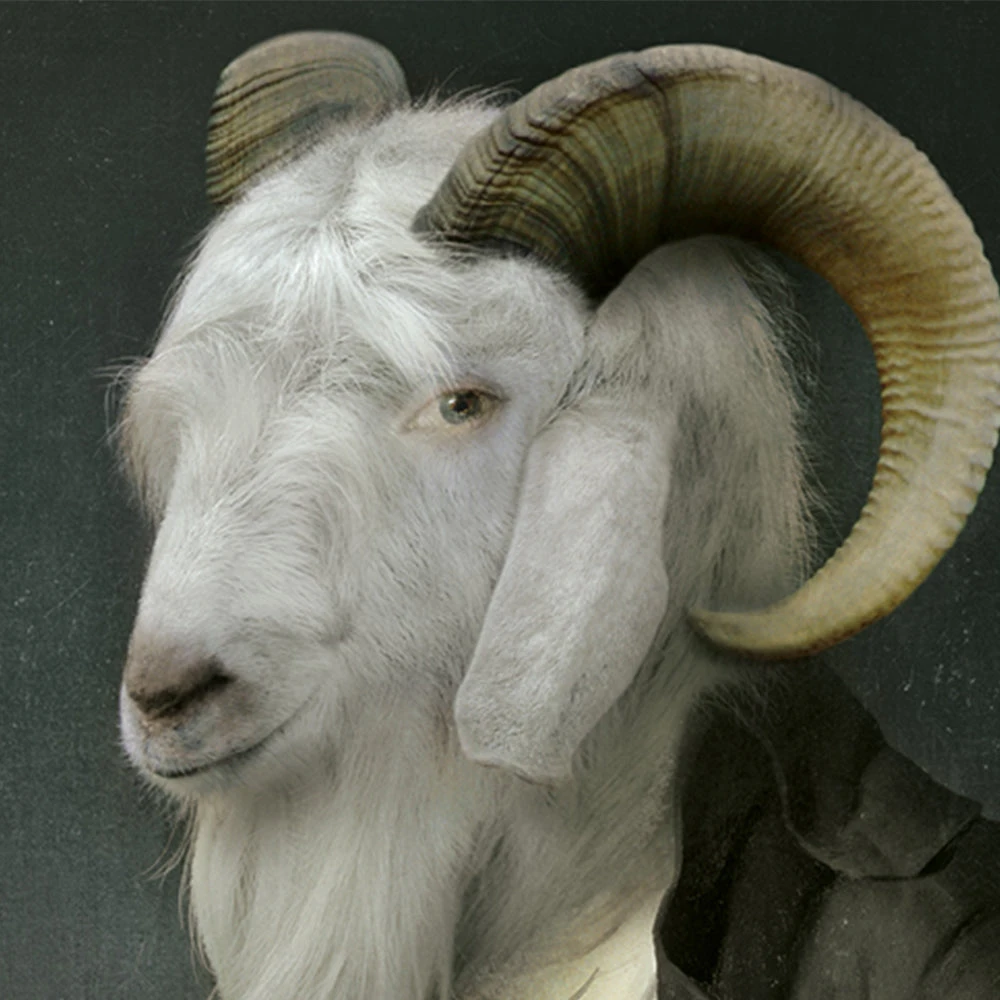 Ibride Rodolphe Collector Portraits Medium Homeware - Luxury Wall Art & Home Decor 5 Ibride Rodolphe Collector Portraits Medium Homeware