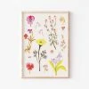 Candice Gray New A3 Wildflower Floral Print