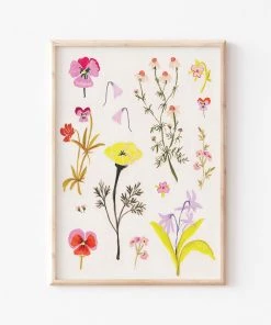 Candice Gray New A3 Wildflower Floral Print