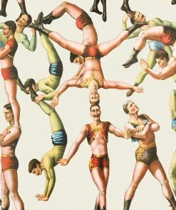 Mind The Gap The Acrobats Wallpaper Wallpaper & Paint