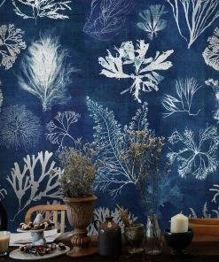 Mind The Gap Algae Moss Wallpaper Blue Skies Ahead