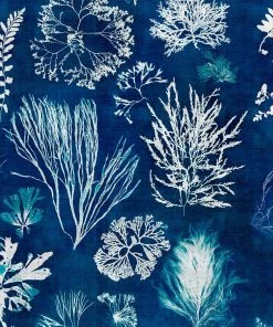 Mind The Gap Algae Navy Blue Wallpaper Blue Skies Ahead