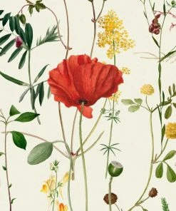 Mind The Gap New Aquafleur Anthracite Floral Wallpaper - Nature & Animals Design 10 Mind The Gap New Aquafleur Anthracite Wallpaper