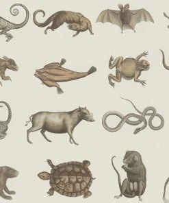 Mind The Gap Seba's Ark Wallpaper