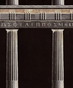 Mind The Gap Athena Wallpaper - Premium Drawing & Illustrative Wallpaper for Modern Homes 12 Mind The Gap Athena Wallpaper