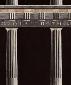 Mind The Gap Athena Moss Wallpaper - Premium Drawing & Illustrative Wallpaper for Modern Homes 14 Mind The Gap Athena Moss Wallpaper