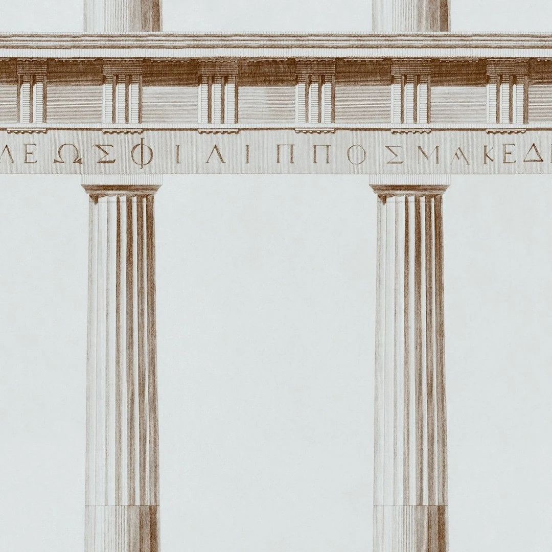 Mind The Gap Athena Wallpaper - Premium Drawing & Illustrative Wallpaper for Modern Homes 3 Mind The Gap Athena Wallpaper