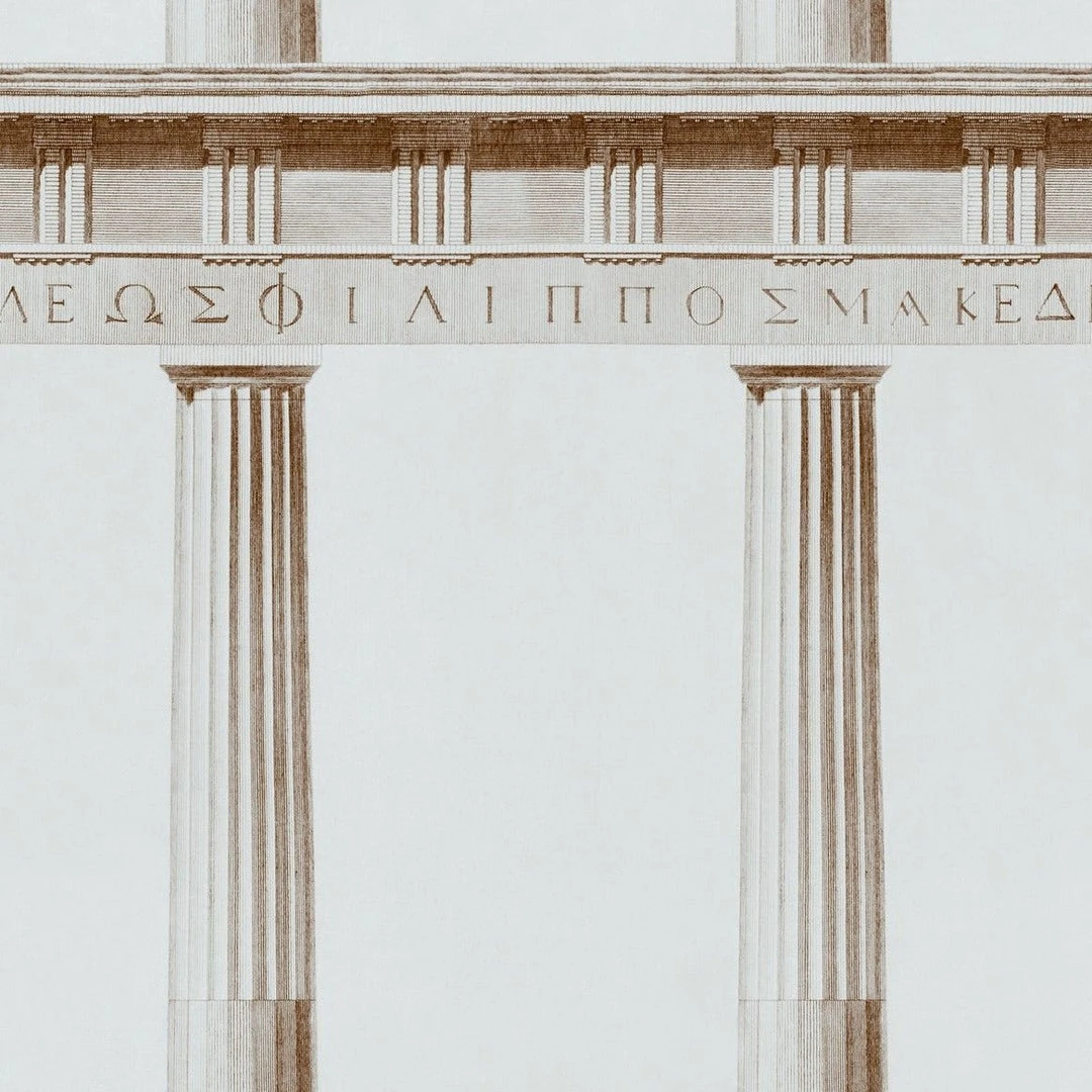 Mind The Gap Athena Moss Wallpaper - Premium Drawing & Illustrative Wallpaper for Modern Homes 9 Mind The Gap Athena Moss Wallpaper