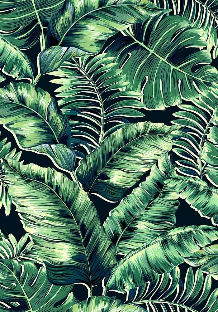 Brand Mckenzie Banana Leaves Max Wallpaper - Leaf Green | Tropical Nature Wallpaper 5 Brand Mckenzie Banana Leaves Max Wallpaper, Leaf Green