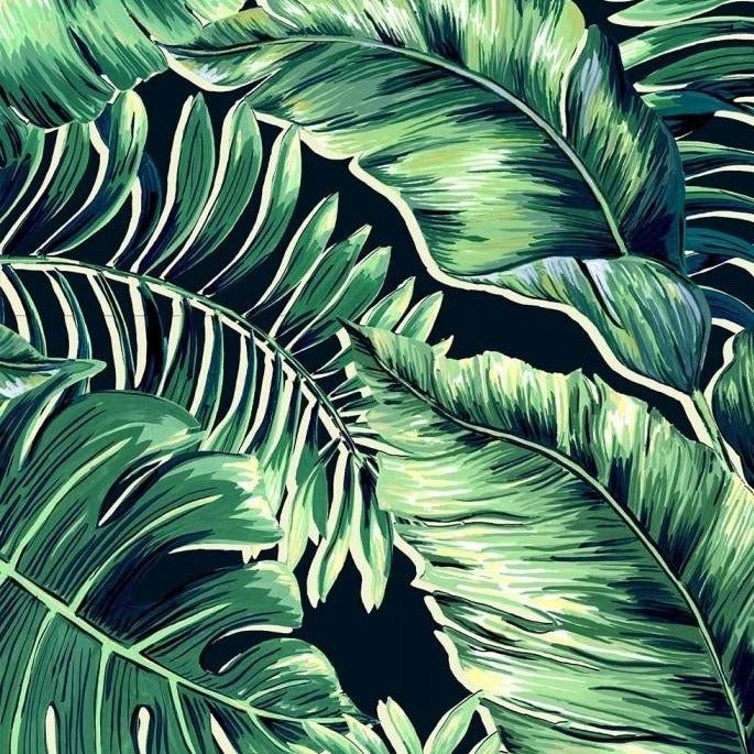 Brand Mckenzie Banana Leaves Max Wallpaper - Leaf Green | Tropical Nature Wallpaper 4 Brand Mckenzie Banana Leaves Max Wallpaper, Leaf Green