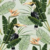 Mind The Gap Birds Of Paradise Wallpaper