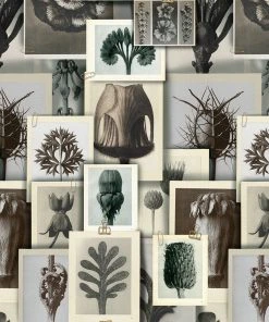 Mind The Gap The Craftsman Blossfeldt's Art Form Wallpaper