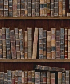 Mind The Gap Book Shelves Wallpaper The Craftsman