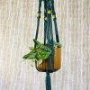 The Design Yard Macrame Green Plant Hanger With Yellow Beads Gifts Galore