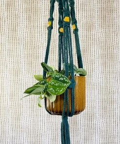The Design Yard Macrame Green Plant Hanger With Yellow Beads Gifts Galore