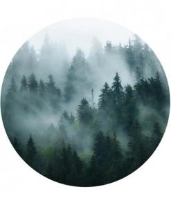 BN The Craftsman Wallpaper Circles Cloudy Woods