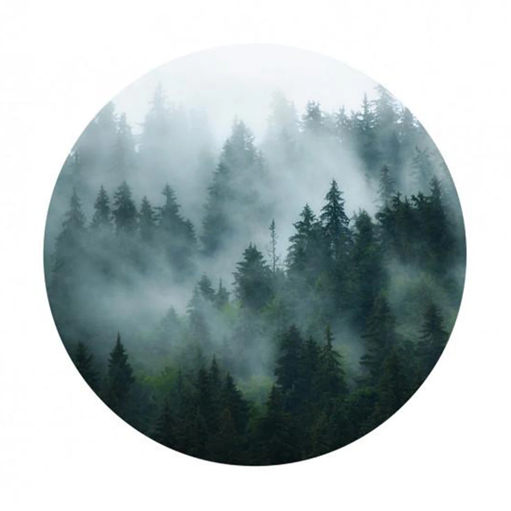 BN The Craftsman Wallpaper Circles Cloudy Woods - Nature-Inspired Wallpaper Mural 4 BN The Craftsman Wallpaper Circles Cloudy Woods