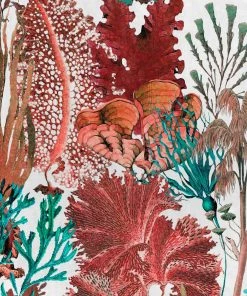 Mind The Gap Coral Reef Ultramarine Wallpaper Rose & Thorn