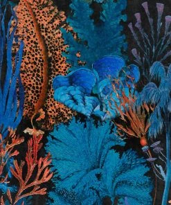 Mind The Gap Coral Reef Wallpaper - Blue Skies Ahead Collection | Nature & Animals Wallpaper 8 Mind The Gap Coral Reef Wallpaper Blue Skies Ahead