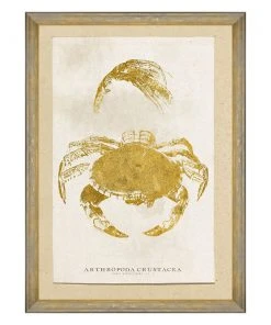Mind The Gap Sea Life Athropoda Crustacea Wall Art Havana Tropicana