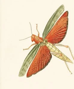 Mind The Gap Entomology Green Wallpaper