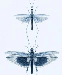 Mind The Gap Entomology Green Wallpaper