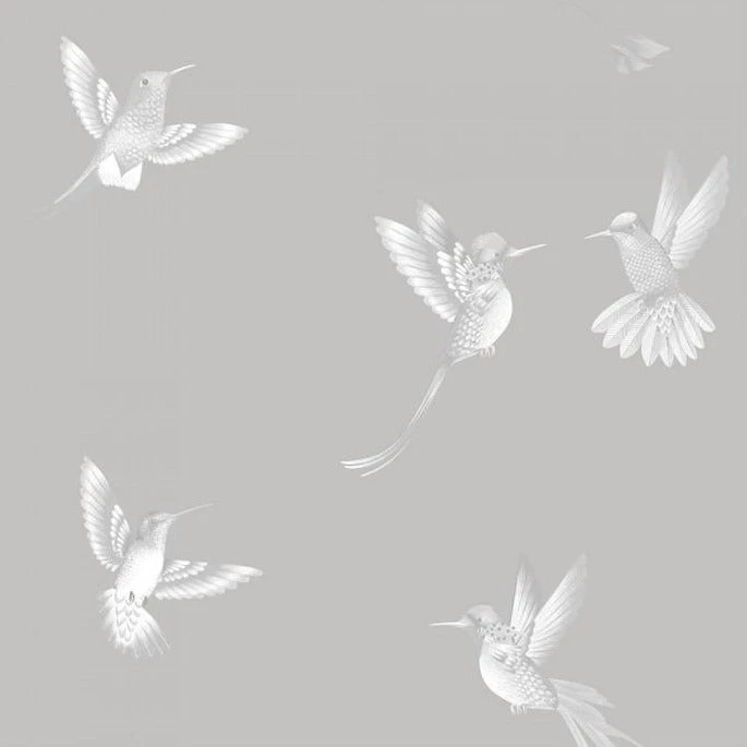 Brand Mckenzie Exotic Birds Wallpaper - Concrete Grey Les Jardins Royaux | Nature & Animals Wallpaper 3 Brand Mckenzie Exotic Birds Wallpaper, Concrete Grey Les Jardins Royaux