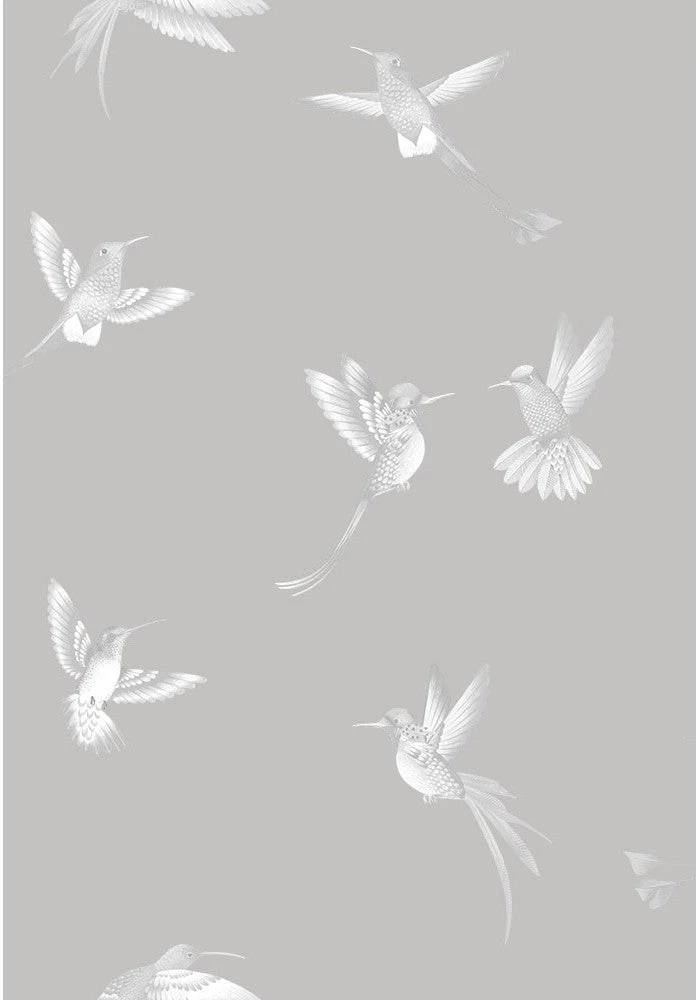 Brand Mckenzie Exotic Birds Wallpaper - Concrete Grey Les Jardins Royaux | Nature & Animals Wallpaper 5 Brand Mckenzie Exotic Birds Wallpaper, Concrete Grey Les Jardins Royaux