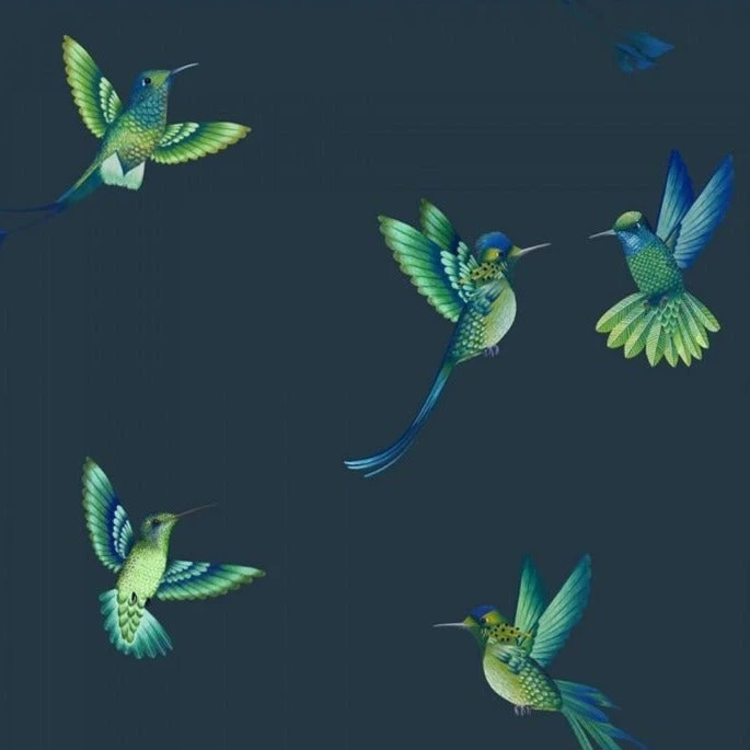 Brand Mckenzie Rose & Thorn Exotic Birds Wallpaper - Midnight Blue | Nature & Animals Wallpaper 3 Brand Mckenzie Rose & Thorn Exotic Birds Wallpaper, Midnight Blue