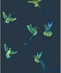 Brand Mckenzie Rose & Thorn Exotic Birds Wallpaper - Midnight Blue | Nature & Animals Wallpaper 7 Brand Mckenzie Rose & Thorn Exotic Birds Wallpaper, Midnight Blue