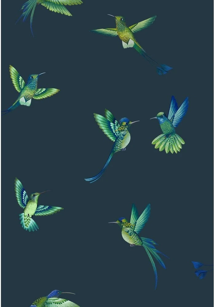 Brand Mckenzie Rose & Thorn Exotic Birds Wallpaper - Midnight Blue | Nature & Animals Wallpaper 5 Brand Mckenzie Rose & Thorn Exotic Birds Wallpaper, Midnight Blue
