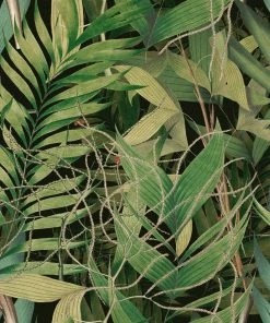 Mind The Gap Exotic Garden Wallpaper