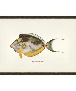 Mind The Gap Kala Fish Wall Art Havana Tropicana