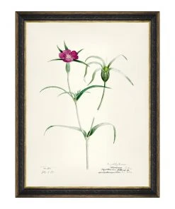 Mind The Gap MTG FRAMED ART AQUAFLORA - Watercolour Prints