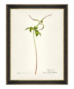 Mind The Gap MTG FRAMED ART AQUAFLORA - Watercolour Prints