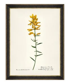 Mind The Gap MTG FRAMED ART AQUAFLORA - Watercolour Prints