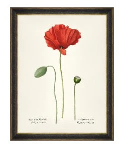 Mind The Gap MTG FRAMED ART AQUAFLORA - Watercolour Prints