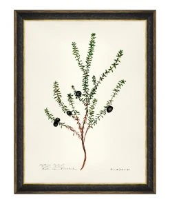 Mind The Gap MTG FRAMED ART AQUAFLORA - Watercolour Prints