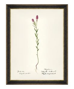 Mind The Gap MTG FRAMED ART AQUAFLORA - Watercolour Prints