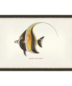 Mind The Gap Havana Tropicana Kihikihi Fish Wall Art
