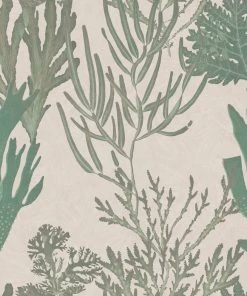 Mind The Gap Light Corals Wallpaper Blue Skies Ahead